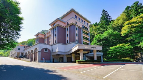 Primary image
