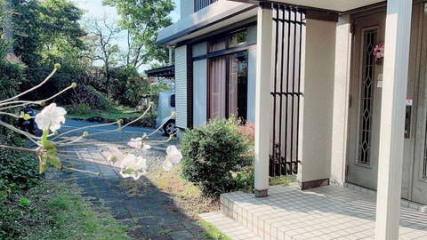 Primary image