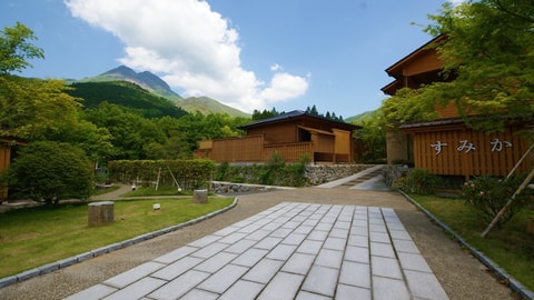 Primary image