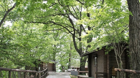 Primary image
