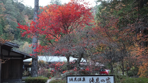 Primary image