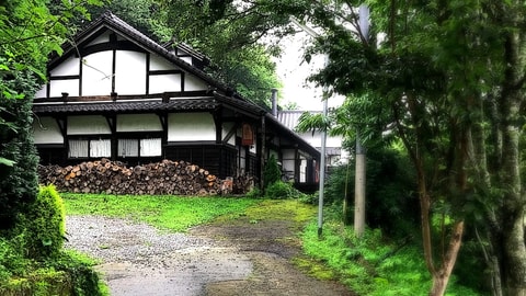 Primary image
