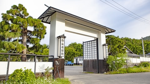 Primary image