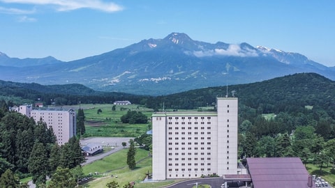 Primary image