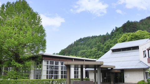 Primary image