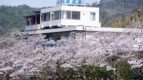 Primary image