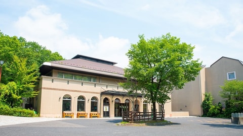 Primary image