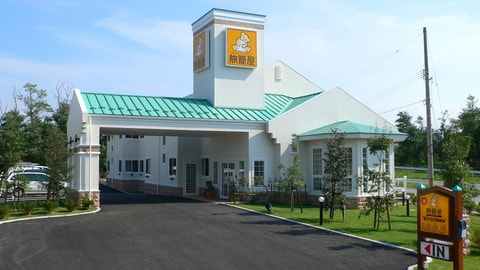 Primary image
