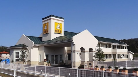 Primary image