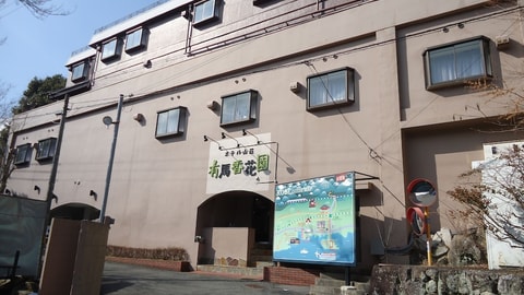 Primary image
