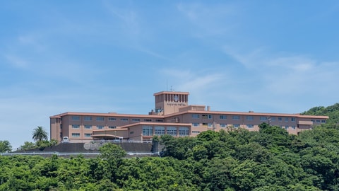 Primary image