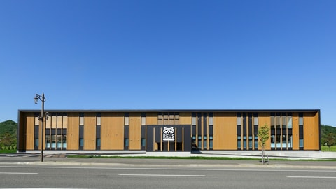 Primary image