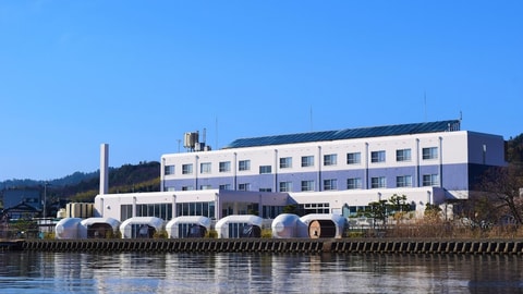 Primary image