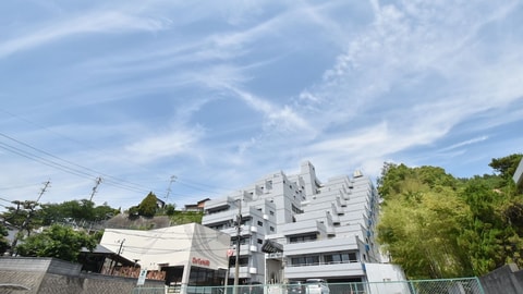 Primary image
