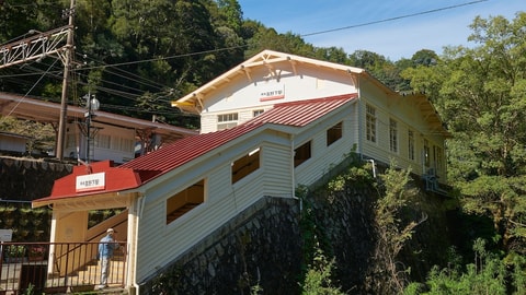 Primary image