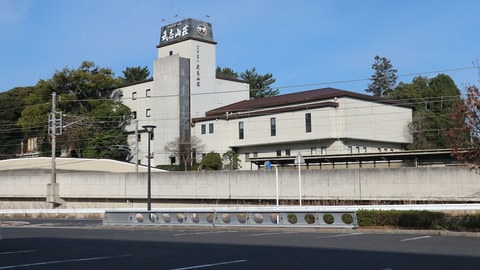 Primary image