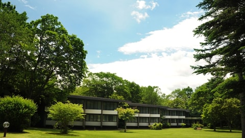 Primary image