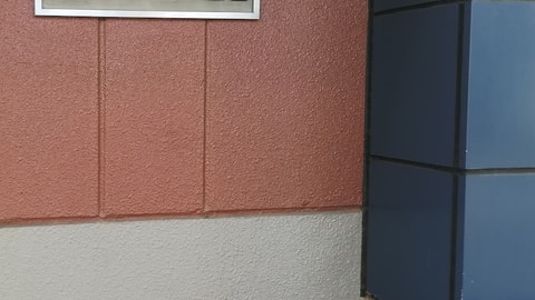 主图片