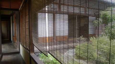 Primary image