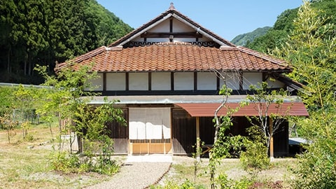 Primary image