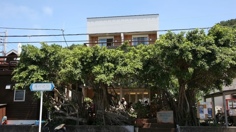 Primary image