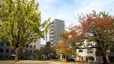 Primary image