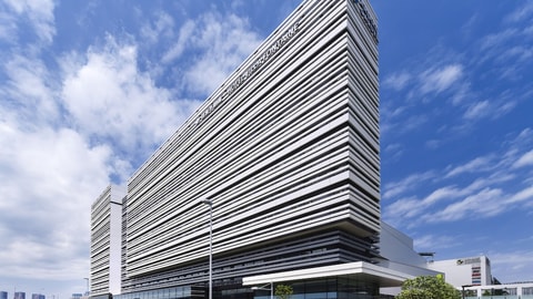 Primary image