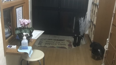 Interior entrance