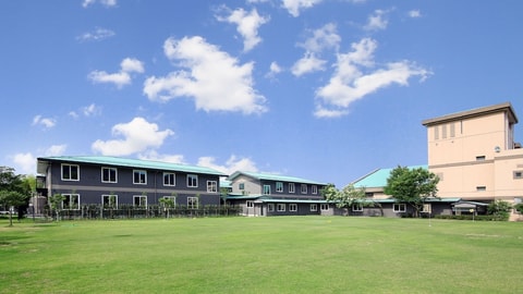 Primary image