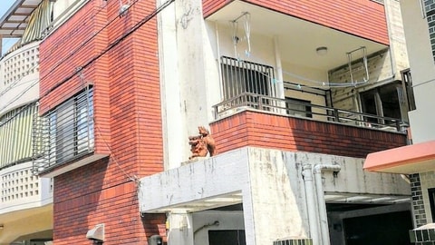 Primary image