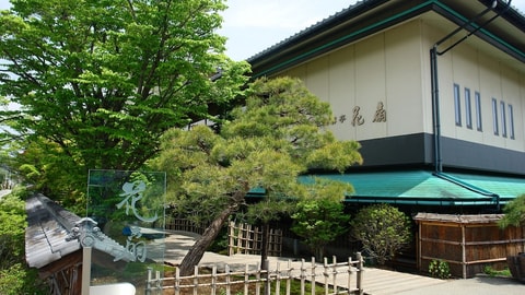 Primary image