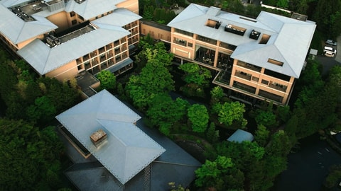 Primary image