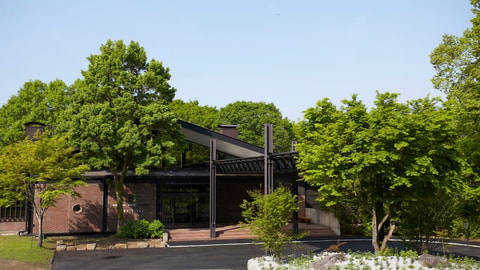 Primary image