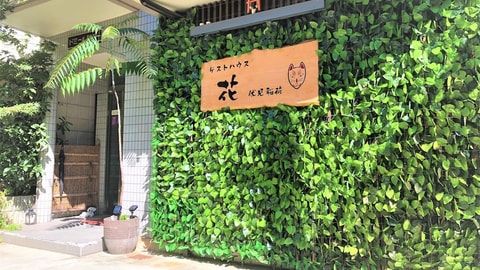 主图片