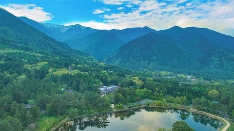 Primary image