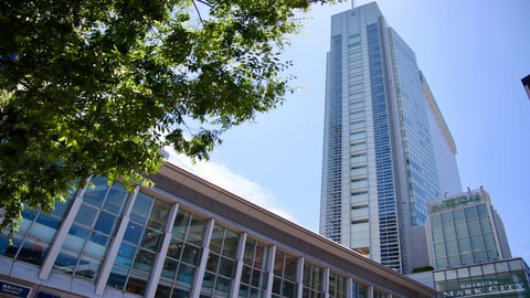 Primary image