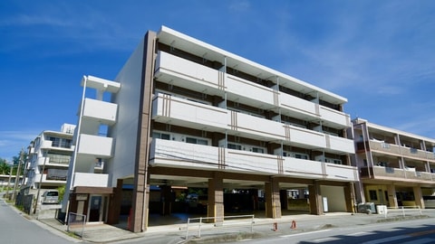 Primary image