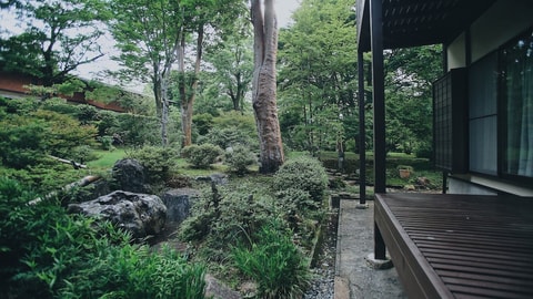 Primary image