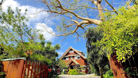 Primary image