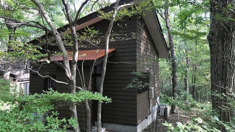 Primary image