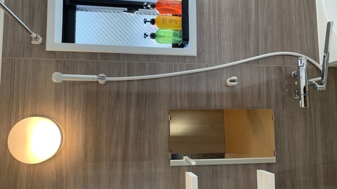 Bathroom shower