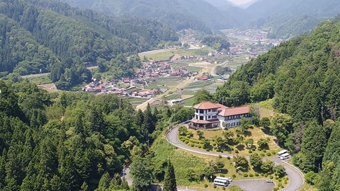 Primary image