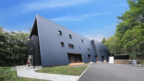 Primary image