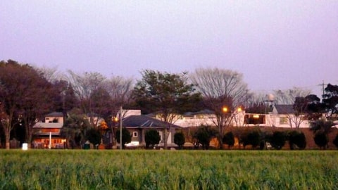 Primary image
