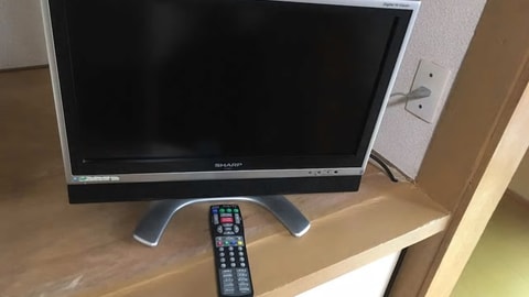Television
