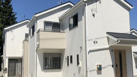 Primary image