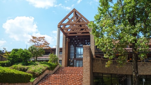 Primary image