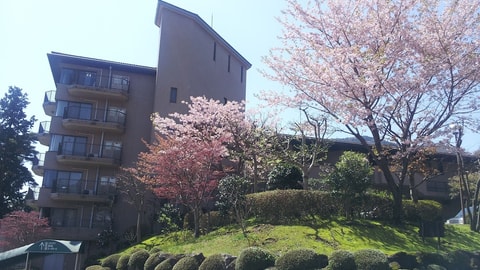 Primary image