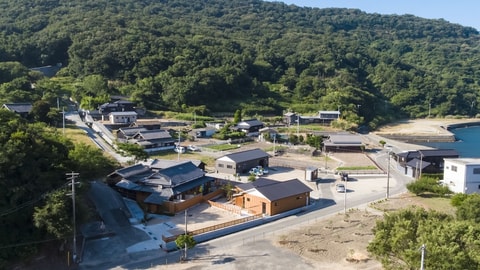 Primary image