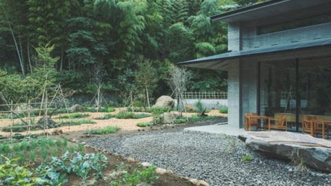 Primary image